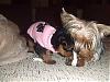 little miss roxy is home-babyroxy002.jpg