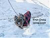 Our First Snow!!  She LOVED it!!-snowbunny.jpg