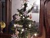 Yorkie Christmas tree-mvc-020s.jpg