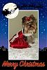 Christmas Diva!-merrychristmas.jpg