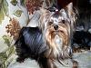 Dolly's photo album (from 8 month to 21 month)-020307-1.jpg