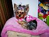 Dolly's photo album (from 8 month to 21 month)-girls-090907-004.jpg