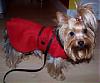 Gracie is a star!-redcoat1.jpg.w180h149.jpg