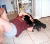 Ethan Playing with the Puppies-cimg1142.jpg