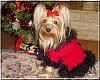 Destiny's Christmas Pictures!!-destiny-xmas-01.jpg