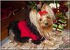 Destiny's Christmas Pictures!!-destiny-xmas-03.jpg