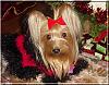 Destiny's Christmas Pictures!!-destiny-xmas-04.jpg