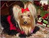 Destiny's Christmas Pictures!!-destiny-xmas-04.jpg