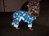 MOJO and Jenn Im wearin my Jammies-102_7038.jpg