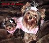 Kalina and Matilda - Friends at last!!-pink-coats.jpg