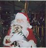 Willow with Santa-santawillow.jpg