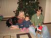 Christmas pic of my human babies and my fur babies-picture-christmas.jpg