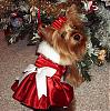 Lacy's Gorgeous Christmas Dress from ChloeBella-christmas-satin2.jpg