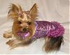 Mommy made me a new fancy coat!-12-19-chloe-purple-coat-2.jpg