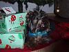 Under the Christmas tree!!!-copper-telling-mommy-what-.jpg