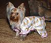 Go.fetch Satin PJ's are AWSOME!!!-dec-316_kylee.jpg