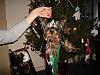 Princess Pixie's 1st Christmas!-christmasevel15.jpg