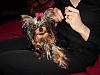 Princess Pixie's 1st Christmas!-christmasdayl4.jpg