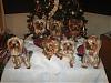 7 Christmas Yorkies!!!!-img_2544-768-x-576-.jpg