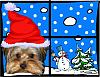HO! HO! HO! Merry Christmas from Stedman and Tatum! :)-3.jpg