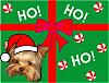 HO! HO! HO! Merry Christmas from Stedman and Tatum! :)-4.jpg