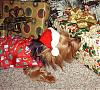 Lots of Christmas Pictures!-christmas-morning3.jpg