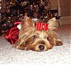 Lots of Christmas Pictures!-tired2.jpg