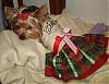 Celebrating Xmas Eve-dsc00030.jpg