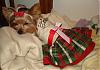 Celebrating Xmas Eve-dsc00032.jpg