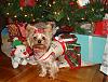 Celebrating Xmas Eve-dsc00036.jpg