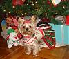 Christmas pictures from everyone-dsc00035.jpg