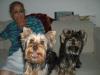 Cute pics of my babies!-pebbles-gaby-martha.jpg