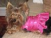 Meiah Mae in her FuFu Fashion Dresses!!!!!!-meiah-fufu-fashions-122907_0017.jpg