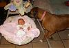 The Furkids and the New Baby!-pc300317.jpg