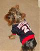 Gino loves football, just like Mommy-snc12318.jpg