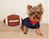 Gino loves football, just like Mommy-snc12321.jpg