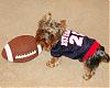 Gino loves football, just like Mommy-snc12323.jpg