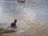 Lexi at/in the lake...-lexi-204.jpg