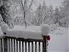 Do you like SNOW???   YIKES!  12 inches!!!!-img_5155_0041.jpg