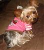 All Pink & Stylish-dsc00006.jpg