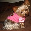 All Pink & Stylish-dsc00004.jpg