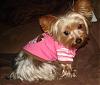 All Pink & Stylish-dsc00005.jpg