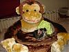 Monkeys Have Gone Bananas Over Their Outfits Thanks Shana-addy-021.jpg