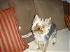 Some new pictures of Lucy-dsc01923.jpg