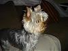 Some new pictures of Lucy-dsc01926.jpg