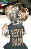 Cuteness Overload!!!!!-sexys-back.jpg