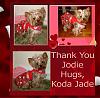 Thank You...Jodie-thank-you-jodie.jpg
