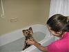 Layla's First Bath-img_2265.jpg