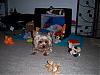 I MUST Protect My Toybox-100_3039.jpg