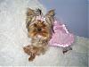 In Honor Of "National Dress Your Pet Day"!!!  :)-s5031524.jpg